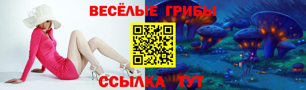 Псилоцибиновые грибы ЛСД  Вход с VPN  Гудермес  Псилоцибиновые грибы мицелий 